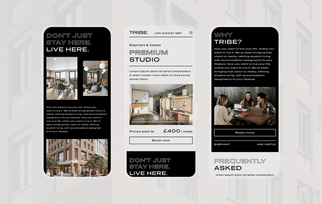 Three mobile app screens for Tribe student living showcasing room photos, premium studio details, and an FAQ section.