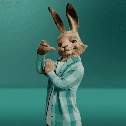 Vaillant
